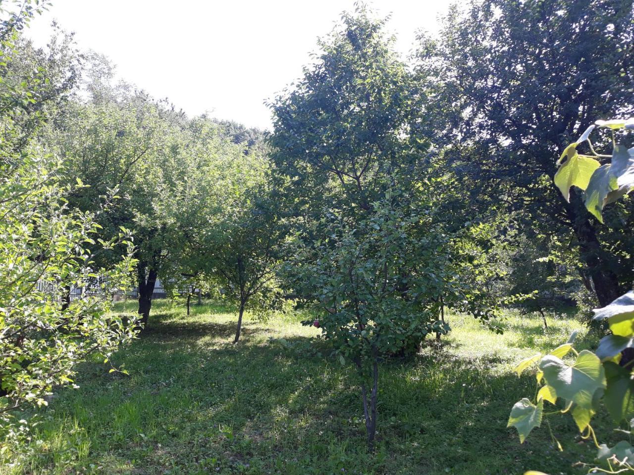 Котедж Лісовий затишок Glubokoye Екстер'єр фото